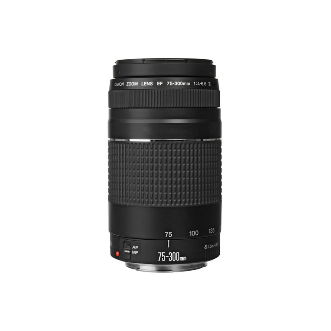 USED| Canon Zoom Lens EF 75-300mm 1:4-5.6 III