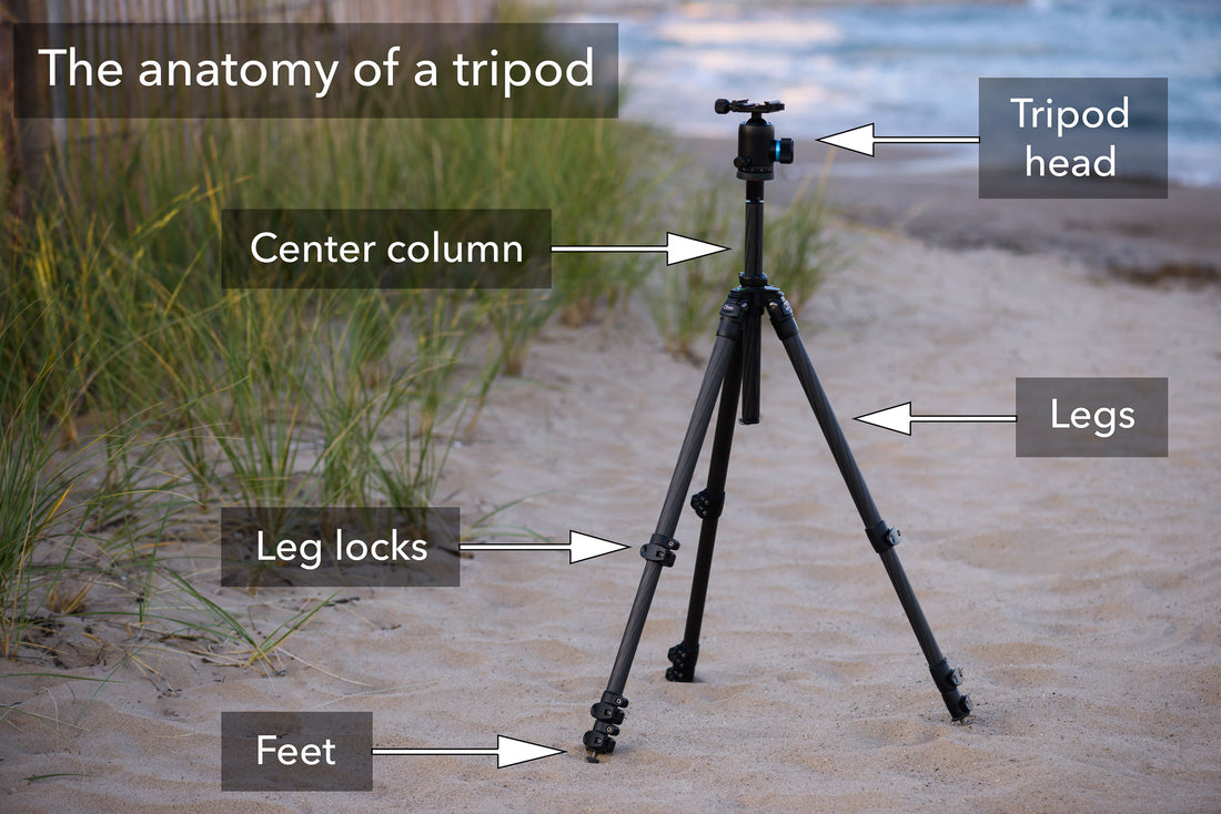 In the Frame: A Comprehensive Guide to Tripods in Photography