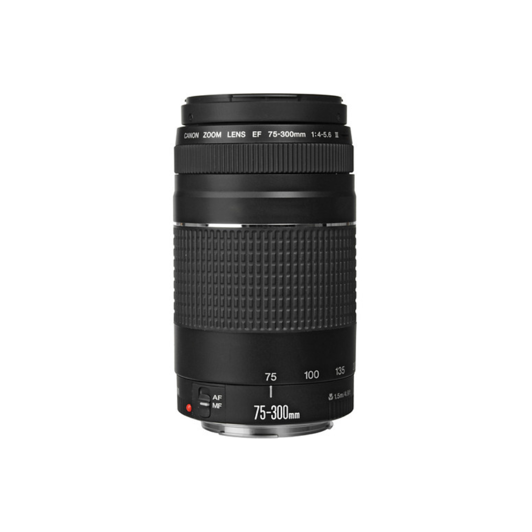 USED Canon Zoom Lens EF 75-300mm 1:4-5.6 III