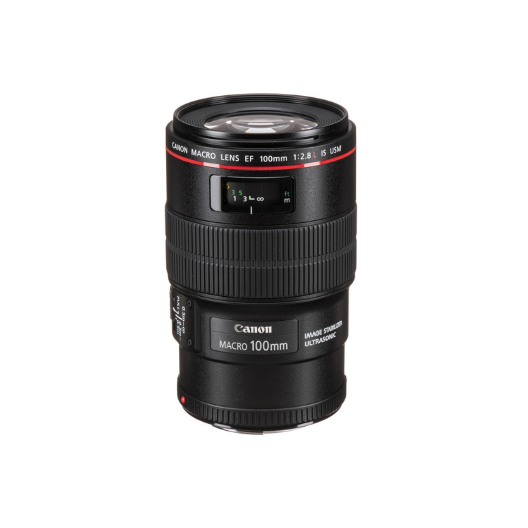 CANON EF100mm f/2.8L Macro IS USM