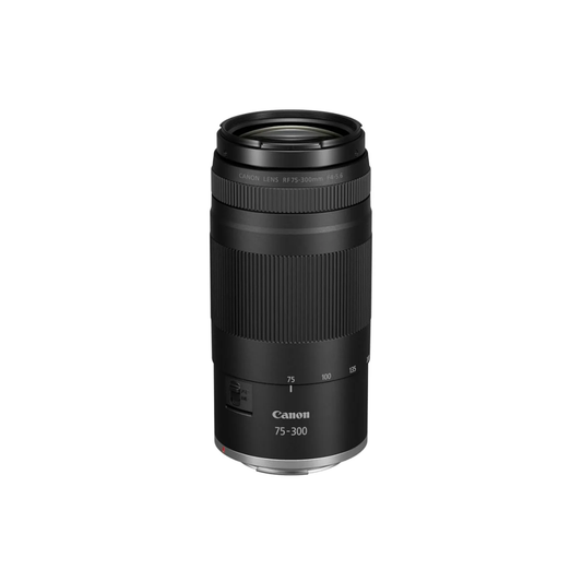 Canon RF 75-300mm f/4-5.6 telephoto zoom lens for mirrorless cameras