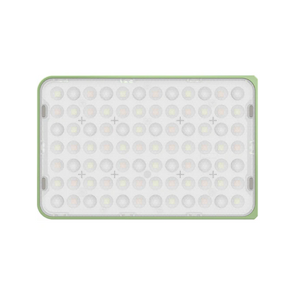 Amaran Ace 25c Green