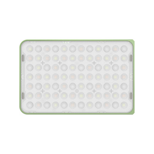 Amaran Ace 25c Green