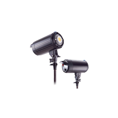 Digitek Continuous LED Light DCL-250WBC Combo