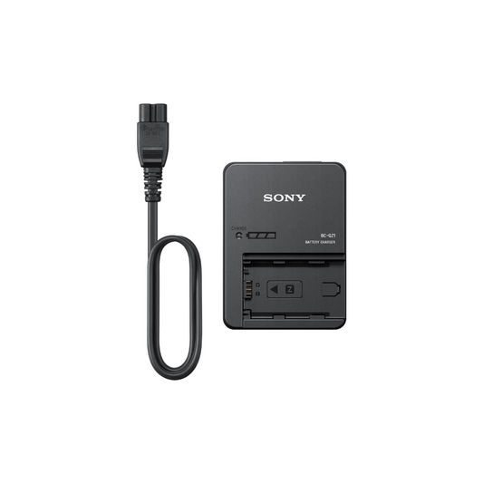 SONY BC-QZ1 CHARGER