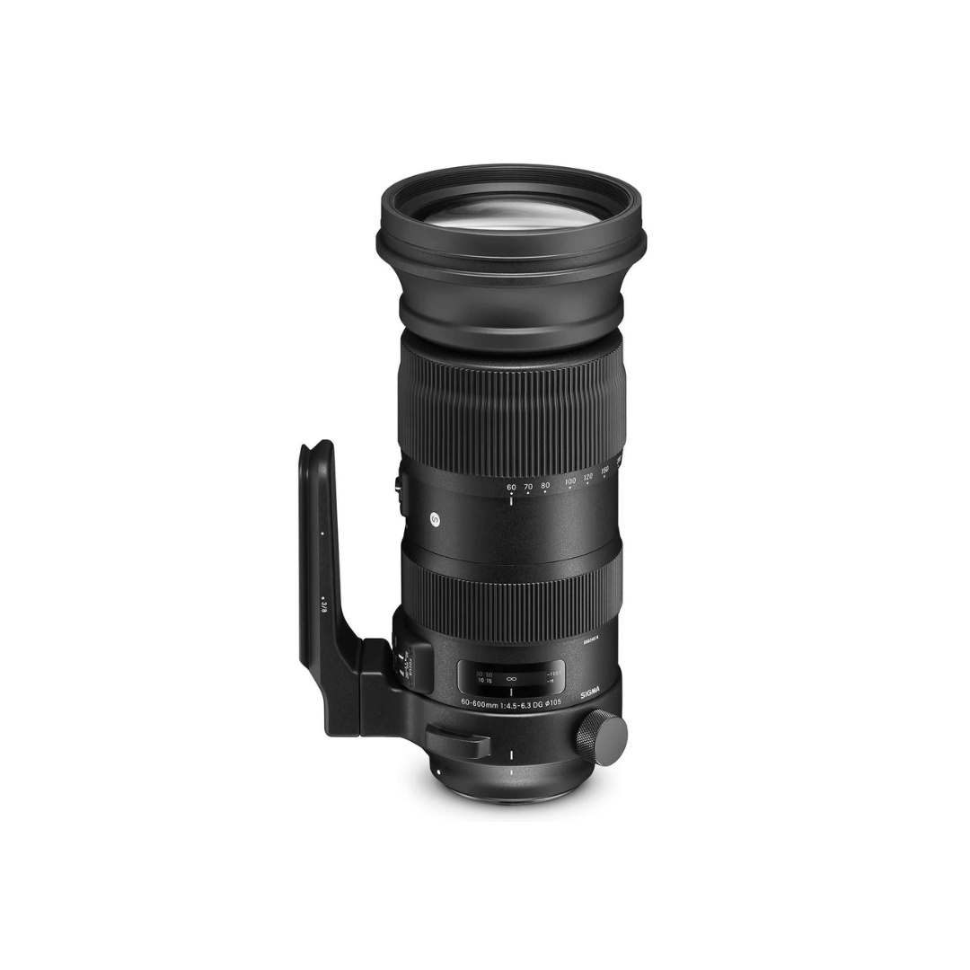 Used Sigma 60-600mm f/4.5-6.3 DG OS HSM Sports ultra-telephoto zoom lens with optical stabilization for wildlife, sports, and bird photography available at Camera Club.