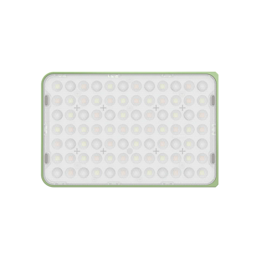 Amaran Ace 25x-Green