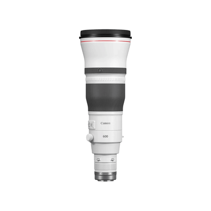 Canon RF 600mm f/4L IS USM super telephoto lens for professional wildlife and sports photography