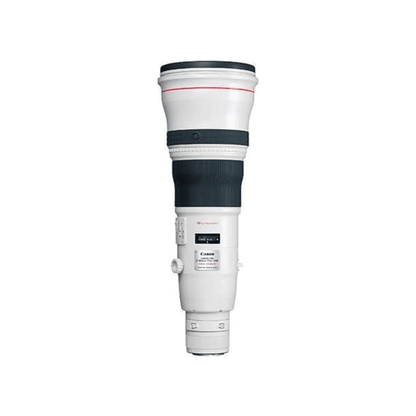 canon rf 800mm