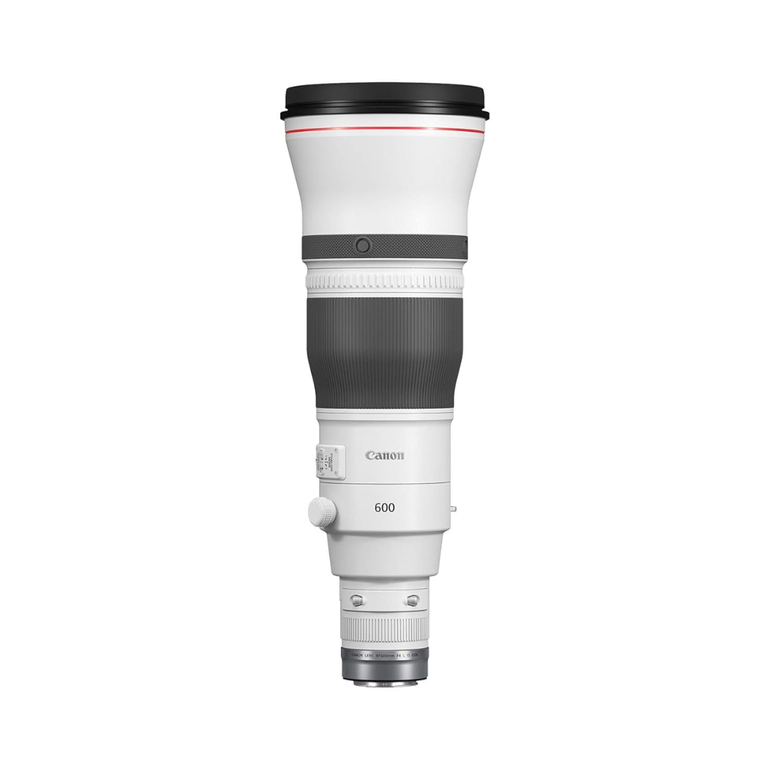 Canon RF 600mm f/4L IS USM super telephoto lens for professional wildlife and sports photography