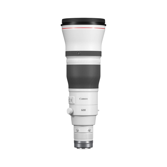 Canon RF 600mm f/4L IS USM super telephoto lens for professional wildlife and sports photography