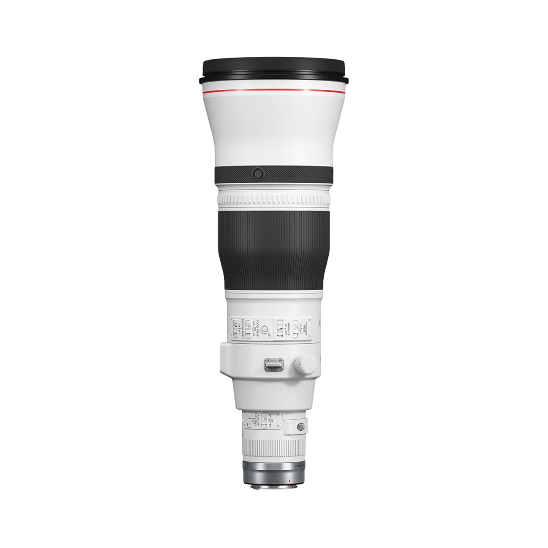 Canon RF 600mm f/4L IS USM super telephoto lens for professional wildlife and sports photography
