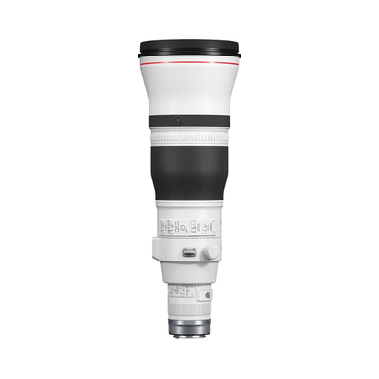 Canon RF 600mm f/4L IS USM super telephoto lens for professional wildlife and sports photography