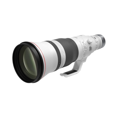 Canon RF 600mm f/4L IS USM super telephoto lens for professional wildlife and sports photography