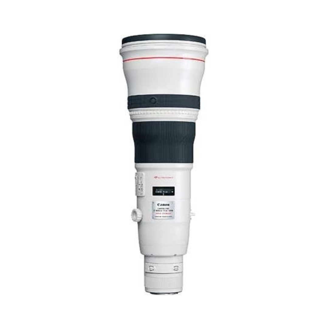 Canon RF 800mm f/5.6L IS USM super telephoto lens for wildlife and sports photography