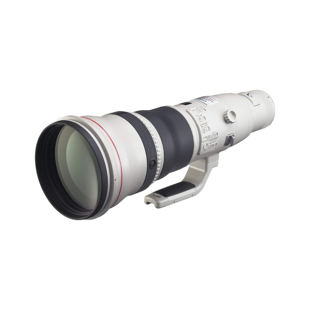 Canon RF 800mm f/5.6L IS USM super telephoto lens for wildlife and sports photography