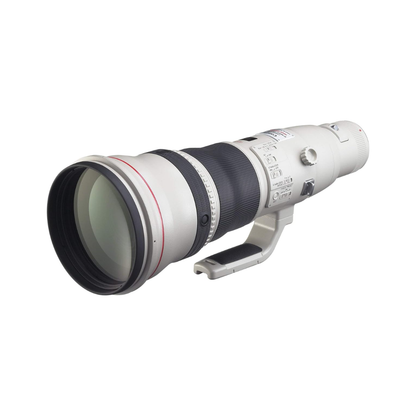 Canon RF 800mm f/5.6L IS USM super telephoto lens for wildlife and sports photography