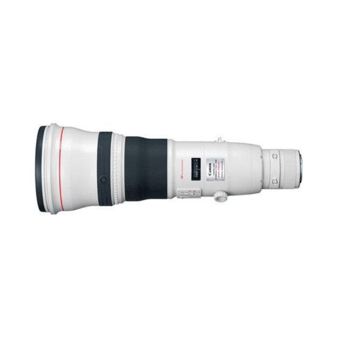 Canon RF 800mm f/5.6L IS USM super telephoto lens for wildlife and sports photography