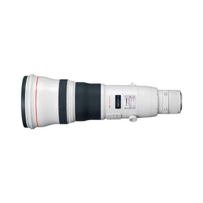 Canon RF 800mm f/5.6L IS USM super telephoto lens for wildlife and sports photography