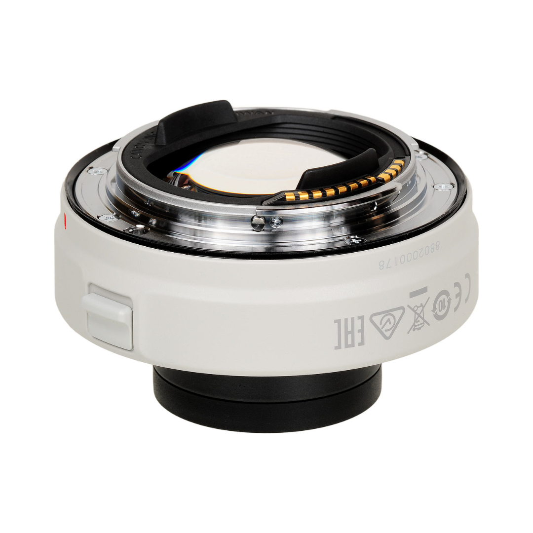 Canon RF 1.4x extender teleconverter mounted on RF lens for increased focal length